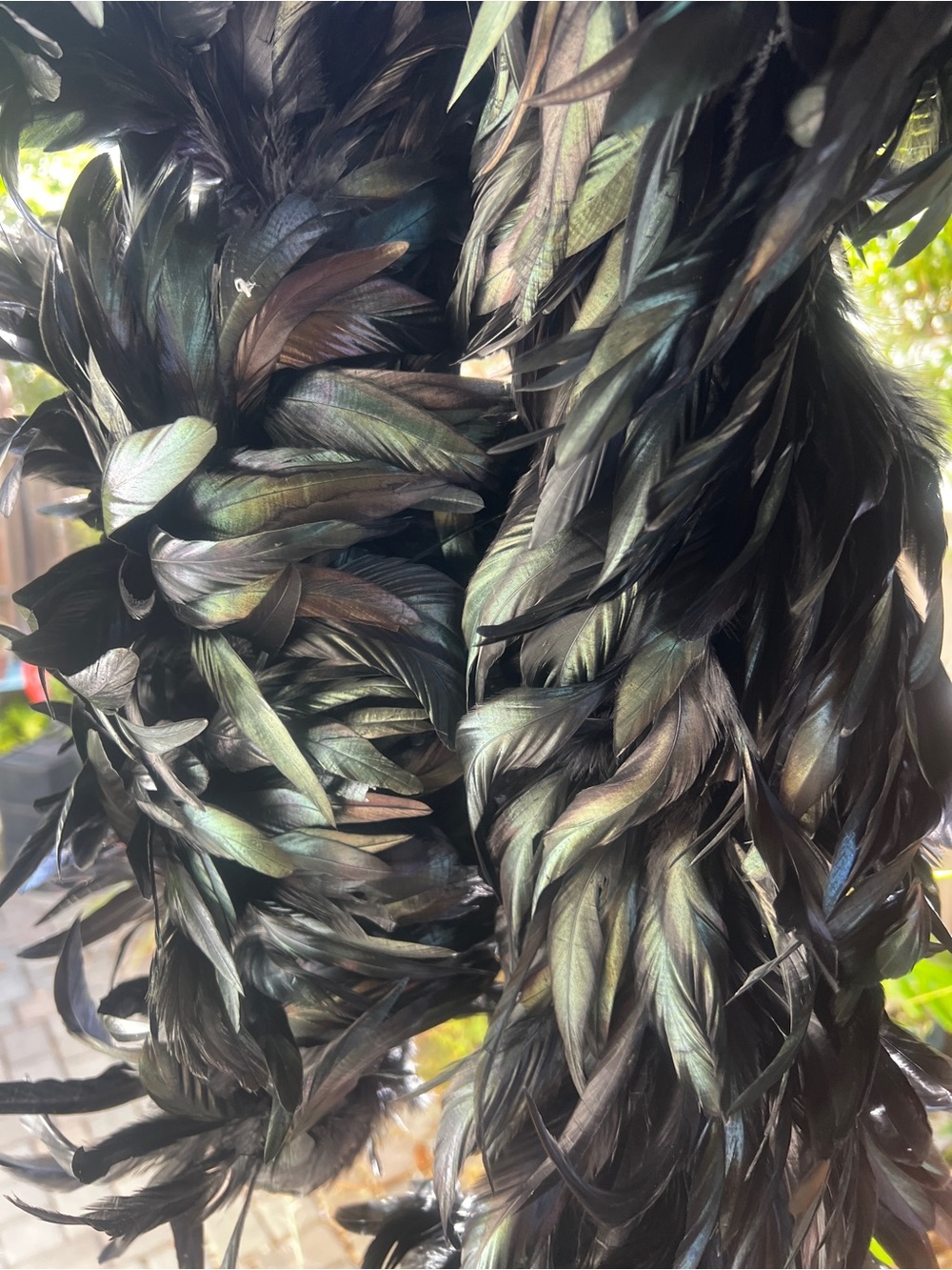 Elaborate Boa- Halloween!